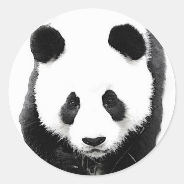 Sticker Rond Panda (Devant)
