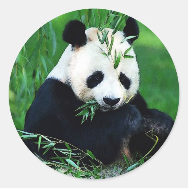 Sticker Rond Panda Manger Feuilles (Devant)