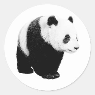 Sticker Rond Panda noir et blanc