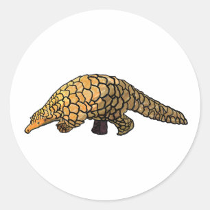 Sticker Rond pangolin