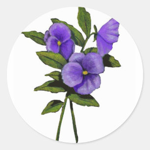 Sticker Rond Pansies violettes Tirées À La Main Sur Blanc