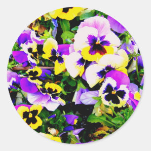 Sticker Rond pansy flowers