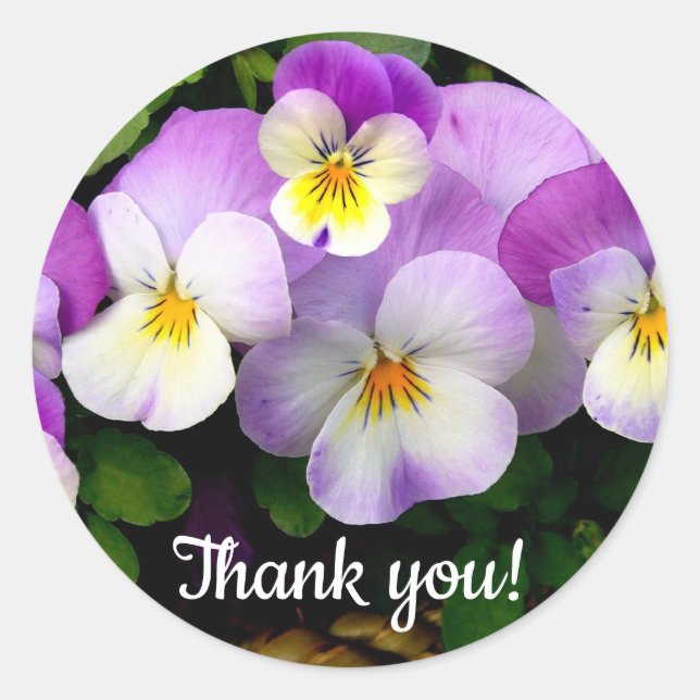 Sticker Rond Pansy Thé You (Devant)