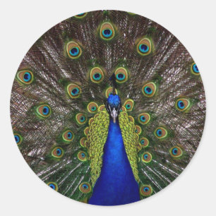 Sticker Rond paon