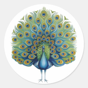 Sticker Rond Paon d'autocollant