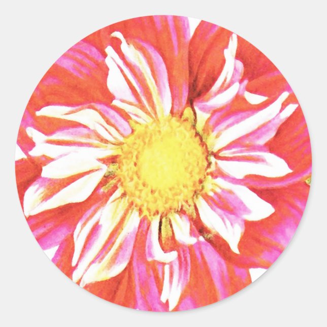 Sticker Rond Papier dahlia rayé rouge et blanc corail (Devant)