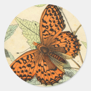 Sticker Rond Papillon