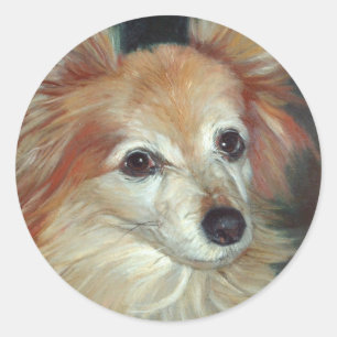 Sticker Rond Papillon