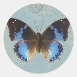 Sticker Rond Papillon bleu