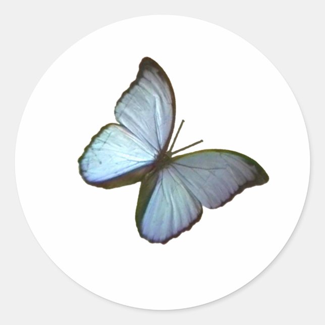 Sticker Rond Papillon bleu 45° Freiburg Allemagne JGibney (Devant)