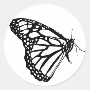 Sticker Rond Papillon de monarque