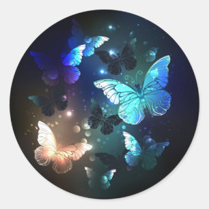 Sticker Rond Papillon de nuit