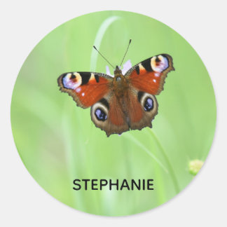 Sticker Rond Papillon de Peacock