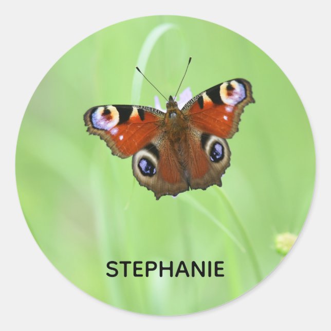 Sticker Rond Papillon de Peacock (Devant)