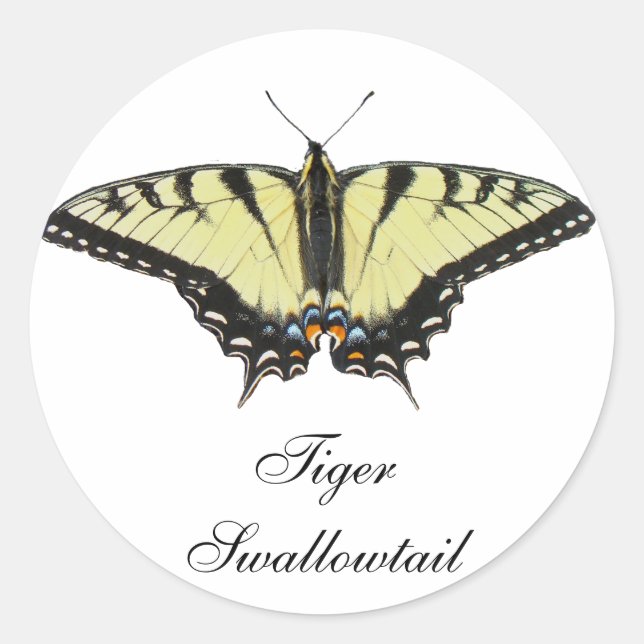Sticker Rond Papillon de queue de tigre (Devant)