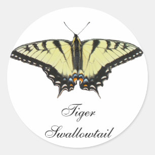 Sticker Rond Papillon de queue de tigre