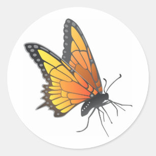 Sticker Rond Papillon monarque en vol