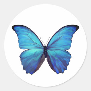 Sticker Rond Papillon Morpho bleu