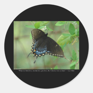 Sticker Rond Papillon noir Swallowtail - Dons d'Amour & Vêtemen