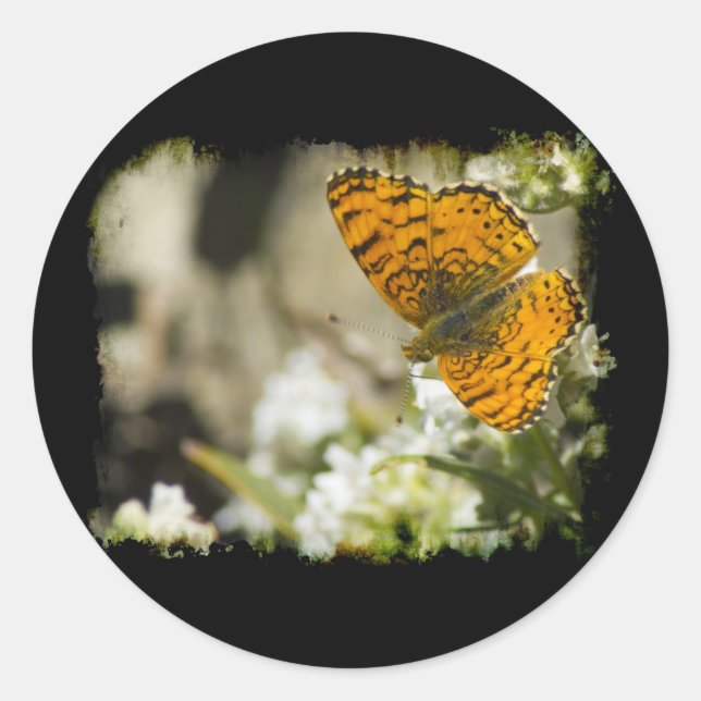 Sticker Rond Papillon orange (Devant)