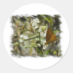 Sticker Rond Papillon orange et abeille