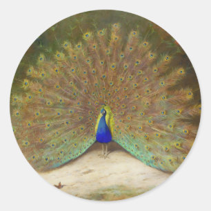 Sticker Rond Papillon Peacock et Peacock, illustration artistiq