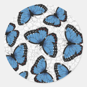 Sticker Rond Papillons morpho bleu