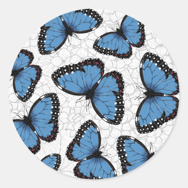 Sticker Rond Papillons morpho bleu (Devant)