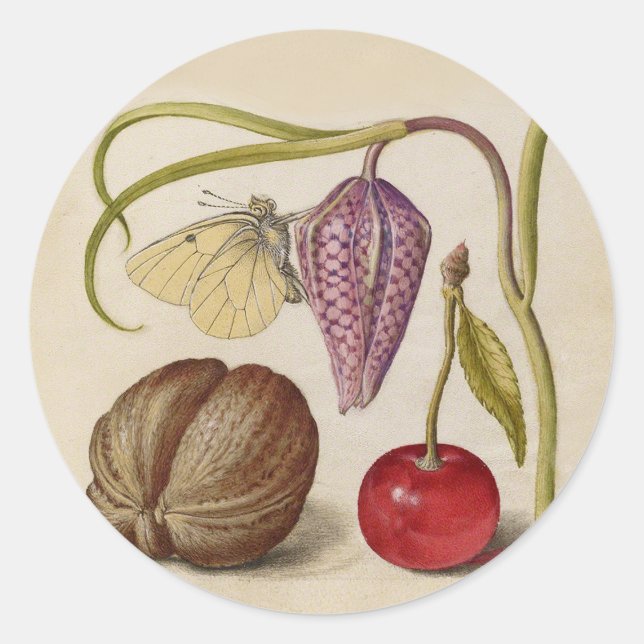 Sticker Rond Papillons noix Fleur Cerisier Aquarelle Art (Devant)