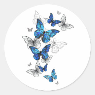 Sticker Rond Papillons volants bleus Morpho