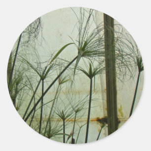 Sticker Rond Papyrus