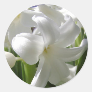 Sticker Rond Pâques blanche Lilly