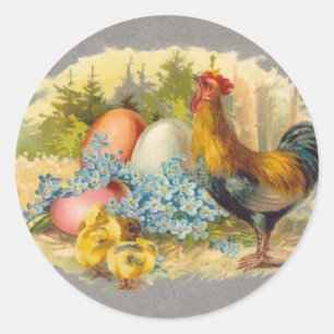 Sticker Rond Pâques - Poussins, Oeufs & Rooster - Carte Postale