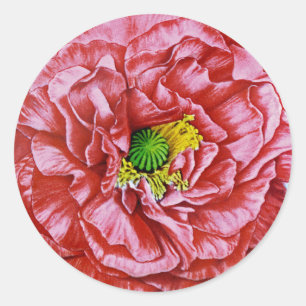 Sticker Rond Paquet de semences Vintage Poppy