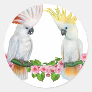 STICKER ROND PARADE AMOUREUSE DE CACATOÈS
