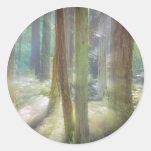 Sticker Rond Parc d'état de pittoresque Beach