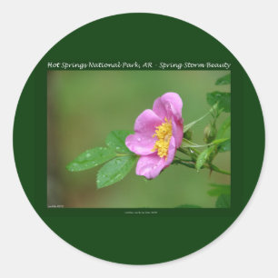 Sticker Rond Parc national de Hot Springs, AR  Wild Rose Gifts
