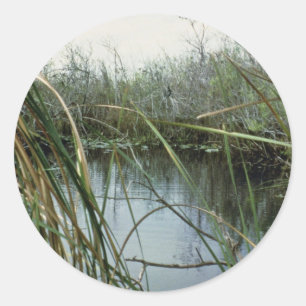 Sticker Rond Parc national des Everglades