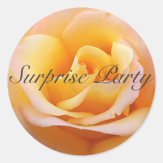 Sticker Rond Parfait Rose - Surprise Party