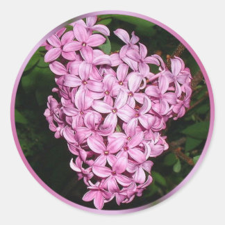 Sticker Rond Parfum de Lilacs