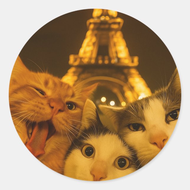 Sticker Rond Paris Night Cat Selfie Squad Lover                 (Devant)