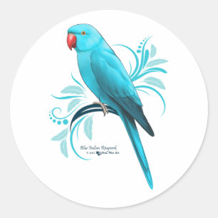 Sticker Rond Parrot bleu indien Ringneck