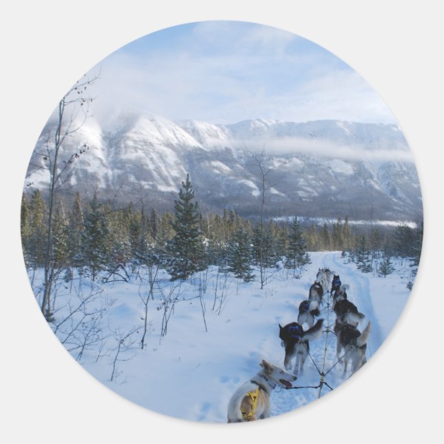 Sticker Rond ParrotSleds (Devant)