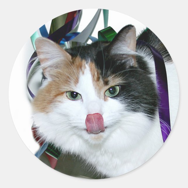 Sticker Rond Parti (Devant)