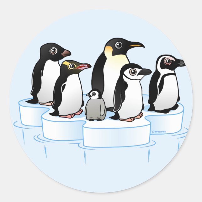 Sticker Rond Parti des pingouins (Devant)