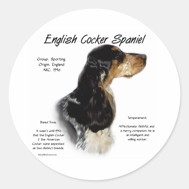 Sticker Rond Parti Roan English Cocker Histoire de l'Espagne (Devant)