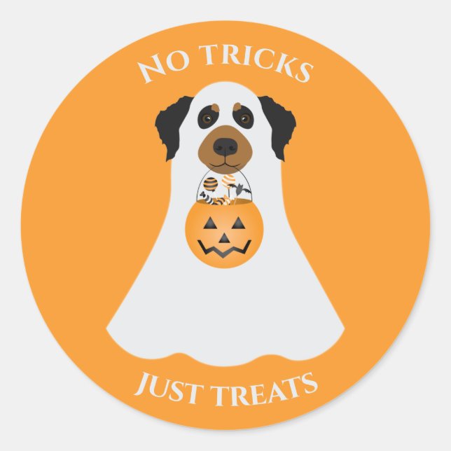 Sticker Rond Pas de traces juste traiter le chien d'Halloween (Devant)