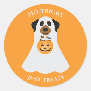 Sticker Rond Pas de traces juste traiter le chien d'Halloween
