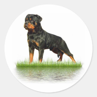 Sticker Rond Pasha Earl Antonius