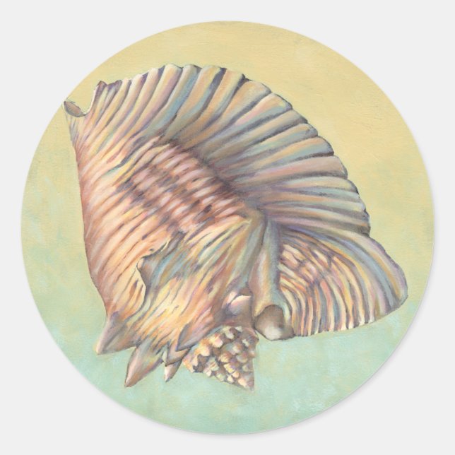 Sticker Rond Pastel Large Conch Shell (Devant)